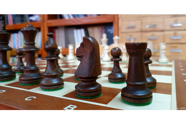 szachy w bibliotece